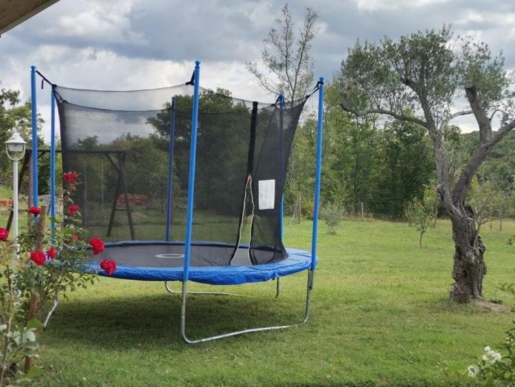 Vila Vesna Grožnjan Exteriör bild